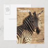Carte Postale Zèbre, Tanzanie (Devant / Derrière)