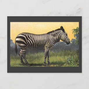 Carte Postale Zèbre vintage dans la savane africaine, animal sau
