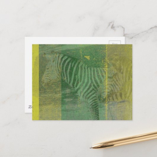 Carte Postale Zèbres (Devant/Arrière en situation)