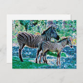 Carte Postale zèbres brillants 01 (Devant / Derrière)