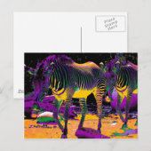 Carte Postale Zèbres colorés (Devant / Derrière)