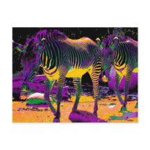 Zèbres colorés