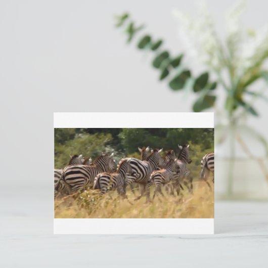 Carte Postale Zèbres en mouvement : Un voyage de mille milles (Debout devant)