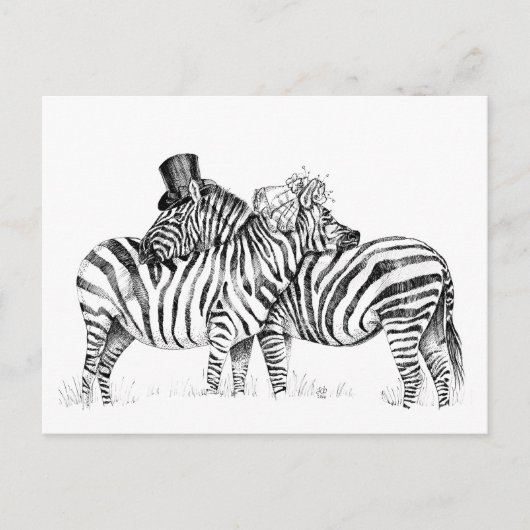 Carte Postale zèbres mariages (Devant)