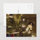 Carte Postale Zelma with the christmas tree (Devant / Derrière)