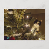 Carte Postale Zelma with the christmas tree (Devant)