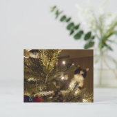Carte Postale Zelma with the christmas tree (Debout devant)