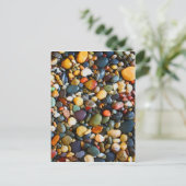 Carte Postale Zen (Debout devant)