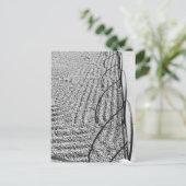 Carte postale Zen (Debout devant)