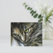 Carte Postale Zen Kitty (Debout devant)