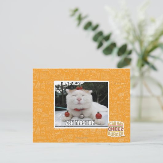 Carte Postale Zen Mastah (Debout devant)