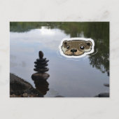 Carte Postale Zen Otter (color) (Devant)