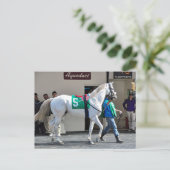 Carte Postale Zen Papa (Debout devant)