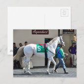 Carte Postale Zen Papa (Devant / Derrière)