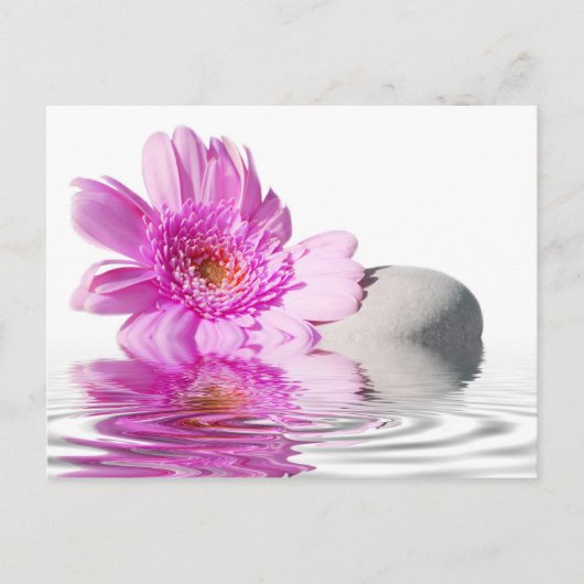 Carte postale Zénitude (Devant)