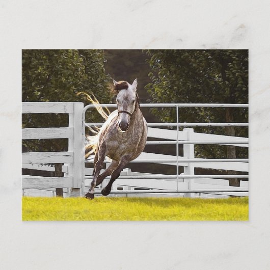 Carte Postale Zest for Life (Devant)