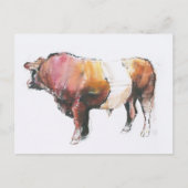 Carte Postale Zeus (Devant)