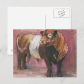 Carte Postale Zeus Red Belted Galloway Bull 2006 (Devant / Derrière)