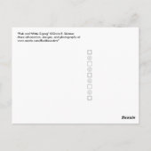 Carte Postale Zigzag rose et blanc (Dos)