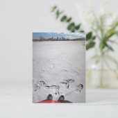 Carte Postale Zilker Park Snow - Austin Texas Downtown Skyline (Debout devant)