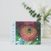 Carte postale - Zinnia (Debout devant)
