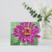 Carte Postale Zinnia rose (Debout devant)
