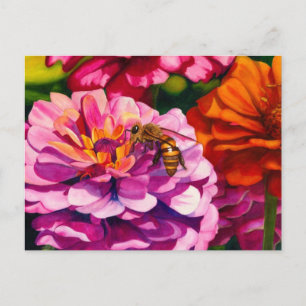 Carte Postale Zinnias avec abeille ouvrière