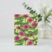Carte Postale Zinnias rose sur vert clair (Debout devant)