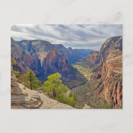 Carte Postale Zion Canyon | Utah (Devant)
