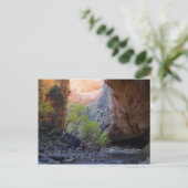 Carte Postale Zion Narrows (Debout devant)