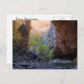 Carte Postale Zion Narrows (Devant / Derrière)