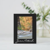 Carte Postale Zion Narrows (Debout devant)