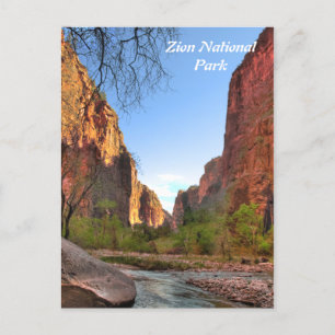 Carte Postale Zion National Park Postcard