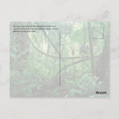 Carte postale Zipline (Dos)