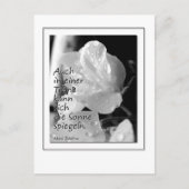 Carte Postale Zitat-Traene (Devant)