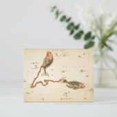 Carte postale "Zodiac Sign : Poissons" (Debout devant)