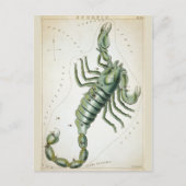 Carte Postale Zodiaque cosmique (Devant)