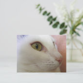 Carte Postale Zoe pense. (Debout devant)