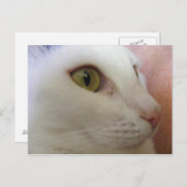 Carte Postale Zoe pense. (Devant / Derrière)