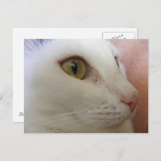 Carte Postale Zoe pense. (Devant / Derrière)