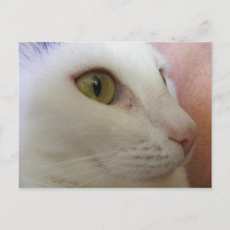 Carte Postale Zoe pense.