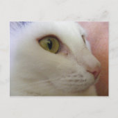 Carte Postale Zoe pense. (Devant)