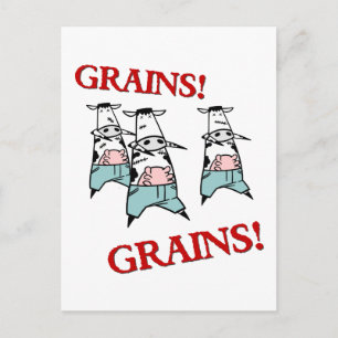 Carte Postale Zombies de la vache