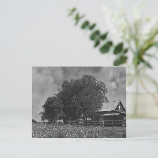 Carte postale Zone Coton Noir & Blanc (Debout devant)