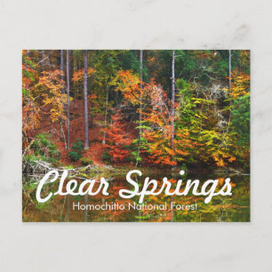 Carte Postale Zone de loisirs Clear Springs