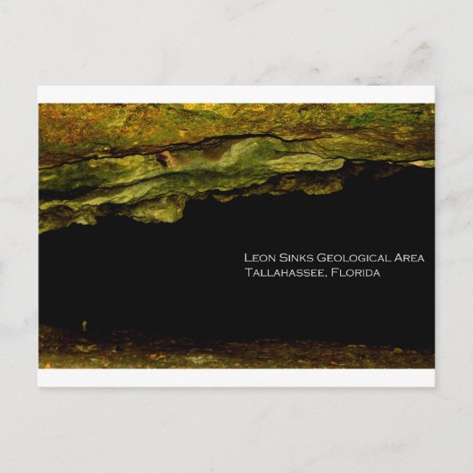 Carte Postale Zone géologique de Leon Sinks (Devant)