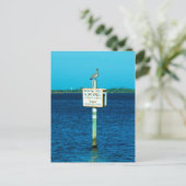 Carte postale Zone Manatee (Debout devant)