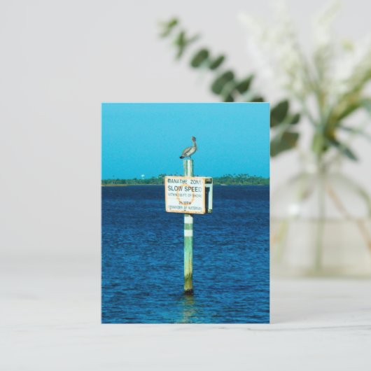 Carte postale Zone Manatee (Debout devant)