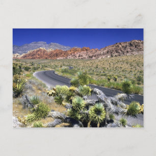 Carte Postale Zone nationale de conservation de Red Rock Canyon,