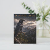Carte Postale Zone sauvage de Common Raven Mountain FAUNE (Debout devant)